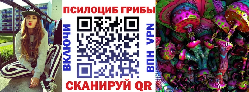 Псилоцибиновые грибы Psilocybe  мега ТОР  дарк нет состав  Красновишерск 